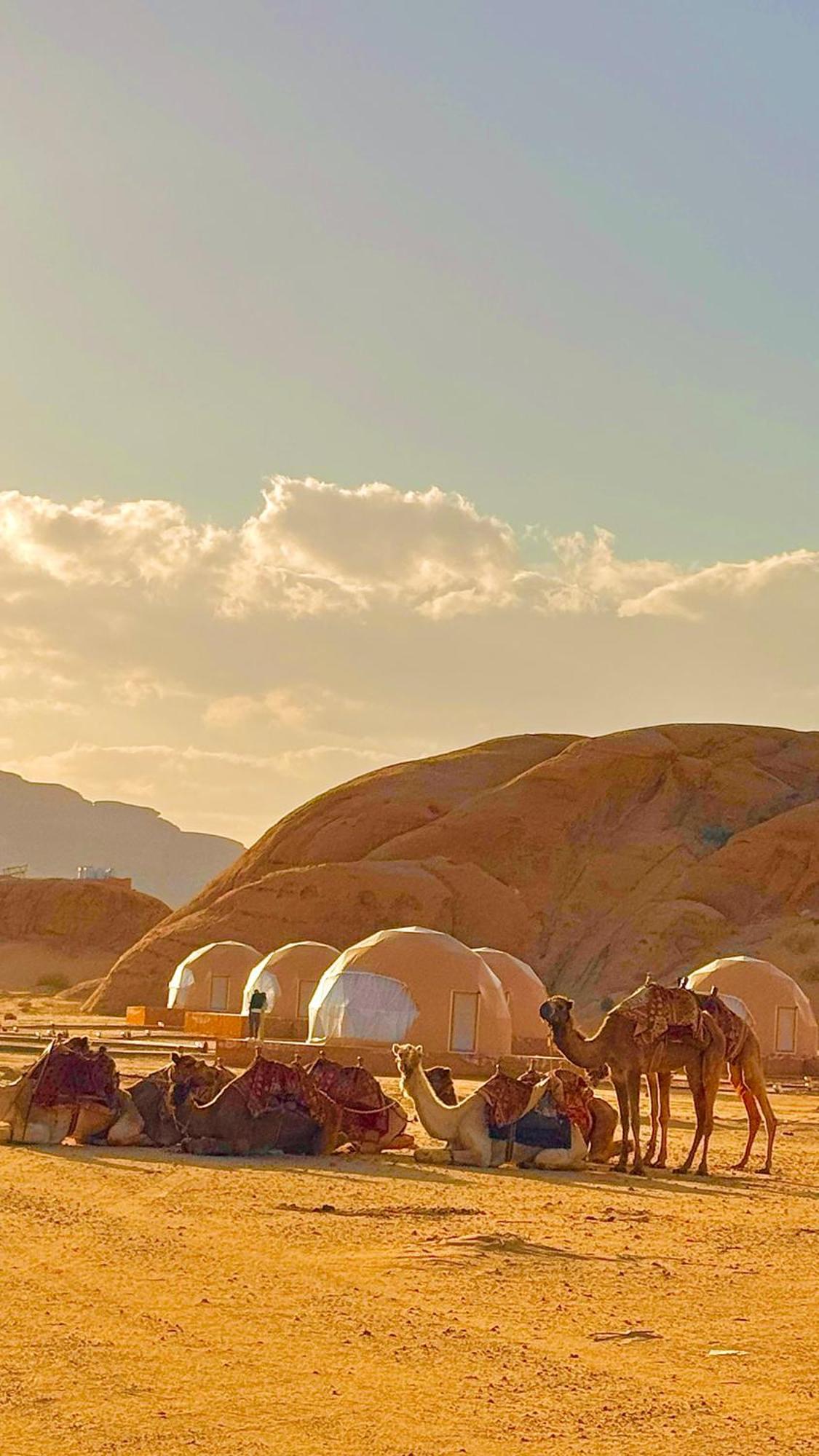 Wadi Rum Anwar Luxury Camp Zewnętrze zdjęcie