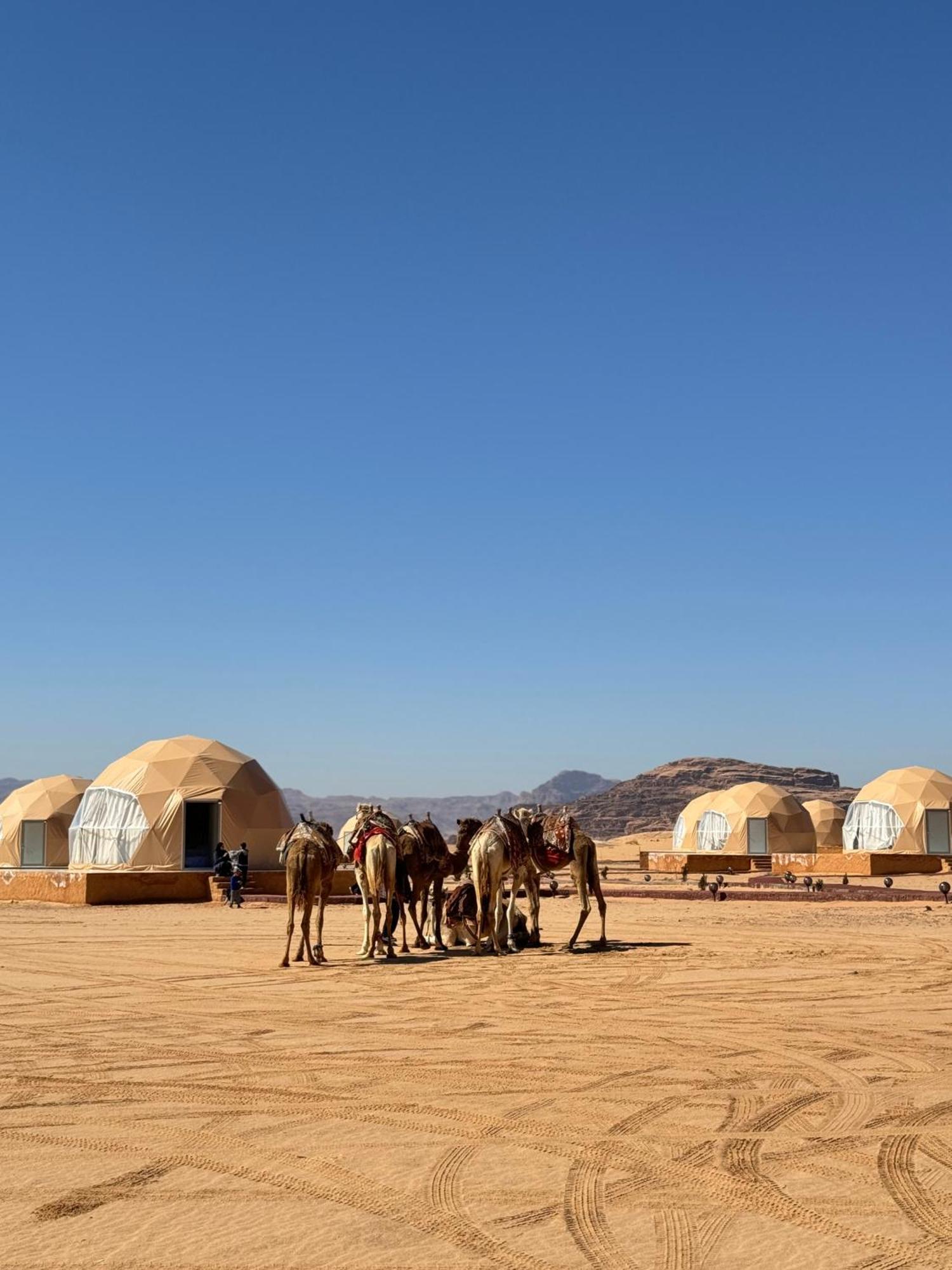 Wadi Rum Anwar Luxury Camp Zewnętrze zdjęcie